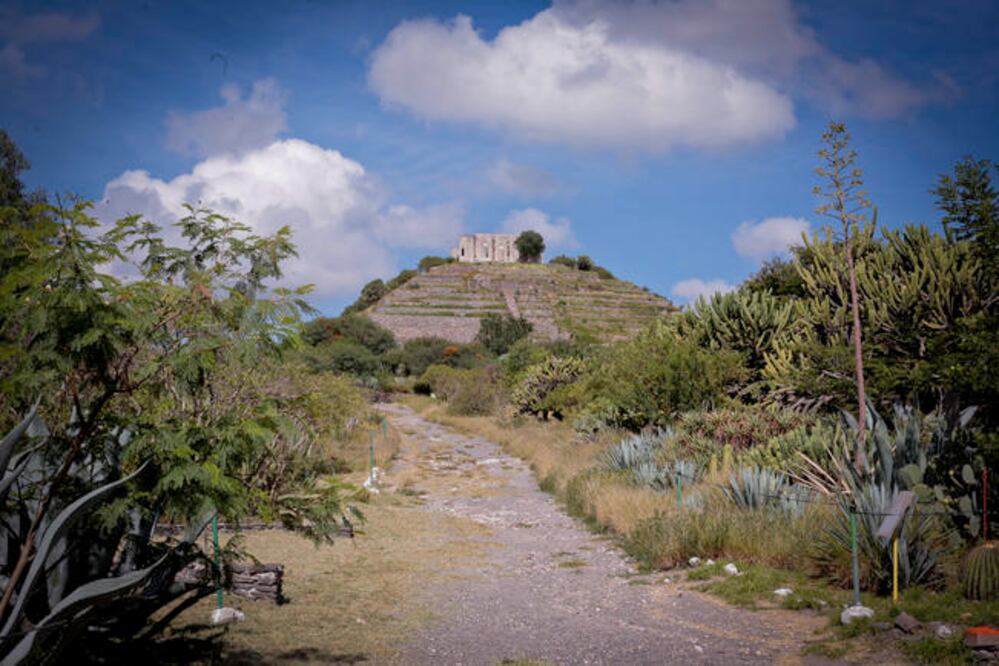 Foto: Archivo. El Universal