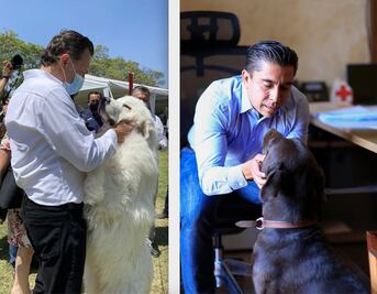 Con fotos en redes sociales, políticos celebran el Día Mundial del Perro
