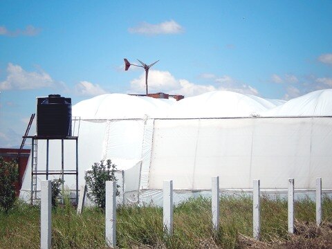 Planean aumento de invernaderos