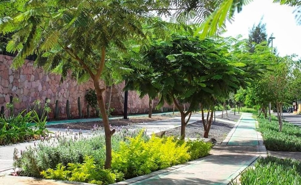 Parque Los Alcanfores, Querétaro. Foto:  ARCHIVO EL UNIVERSAL