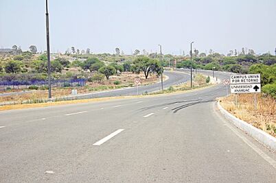 Invertirán 308 mdp en Paseo Centenario