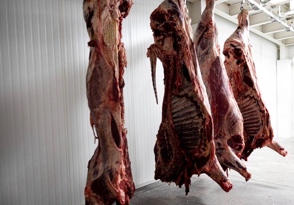 Foto: Archivo El Universal