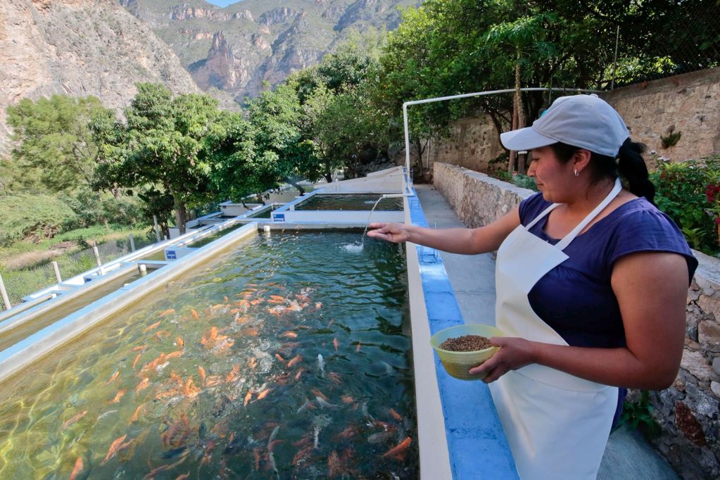 Vencidas, 845 concesiones de agua en Querétaro