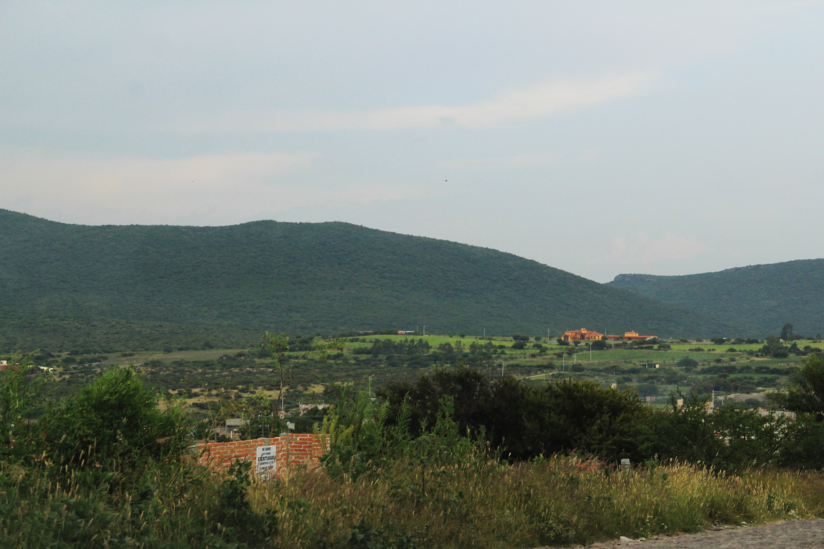 Foto: ARCHIVO. EL UNIVERSAL