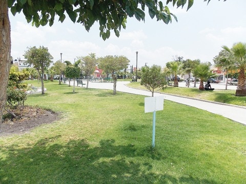 Destinarán 2 mdp para inventario de flora y fauna