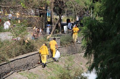 "Al mes se recolectan 175 toneladas de basura": Luis Nava