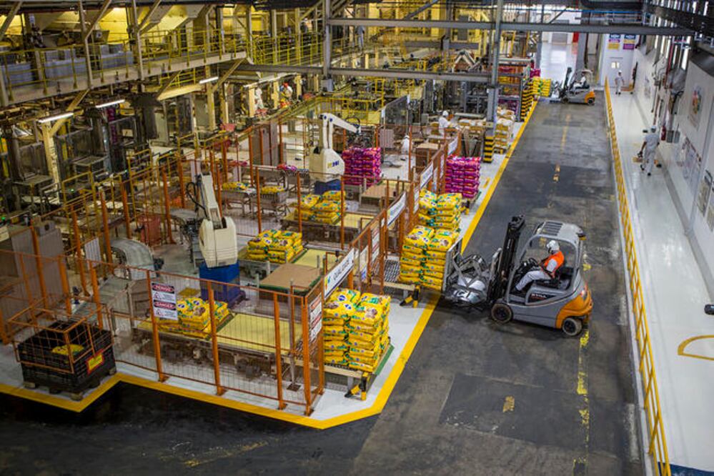 La planta tratadora, donde se fabricará alimento blando para perros y gatos, no se enfocará en la experiencia del solicitante, sino que buscan abrir oportunidades laborales a quienes tengan ganas de salir adelante. (ESPECIAL)