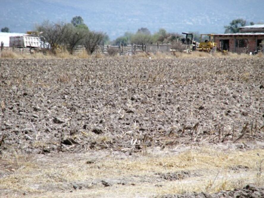 Sequías atípicas dañan Amealco