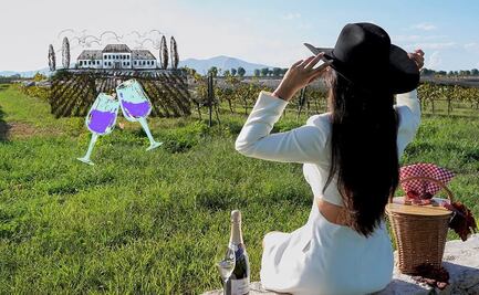 ¿Cuál es el mejor viñedo de Querétaro, según la Inteligencia Artificial?