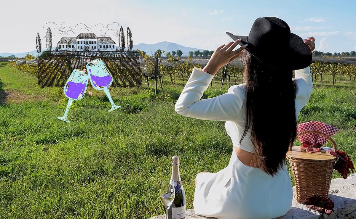 ¿Cuál es el mejor viñedo de Querétaro, según la Inteligencia Artificial?