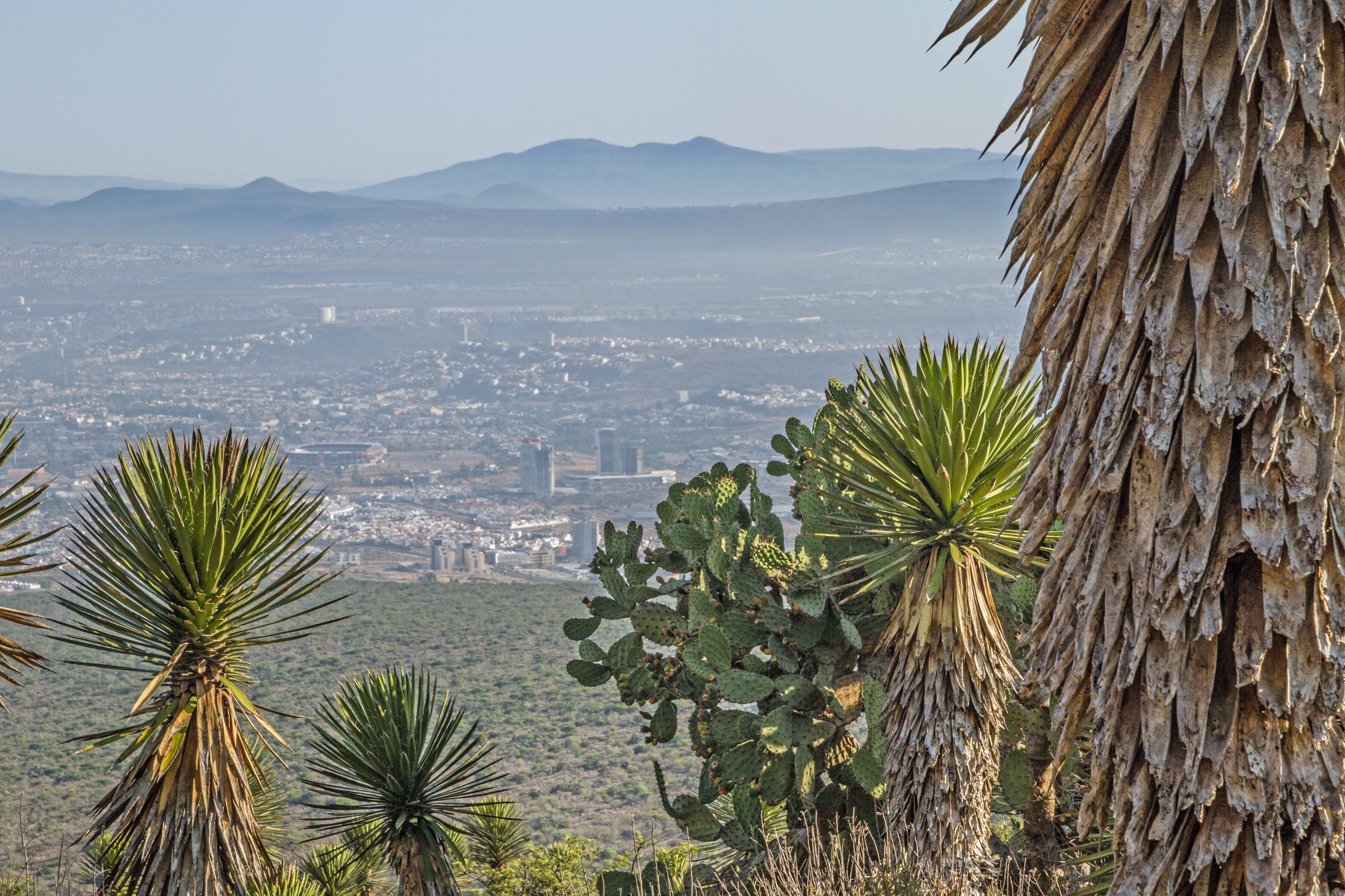 Respeto a la naturaleza