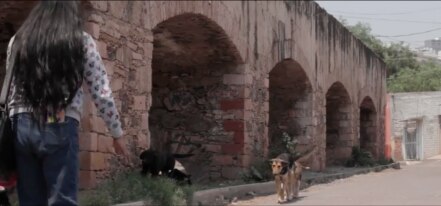 Historias queretanas en documentales AMBULANTE  