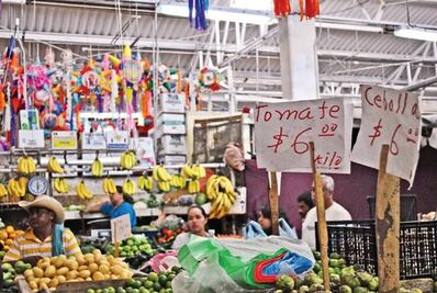 Alimentos, prioridad de familias: Inegi