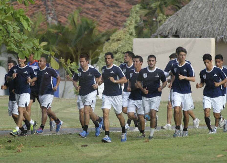Gallos tienen preparación integral