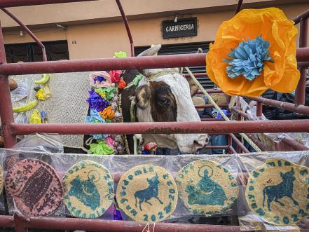 Regresan los colores del Paseo del Buey