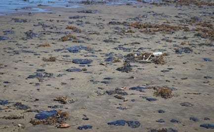 Señalan como responsables de derrame de petróleo a buque y dos chapopoteras