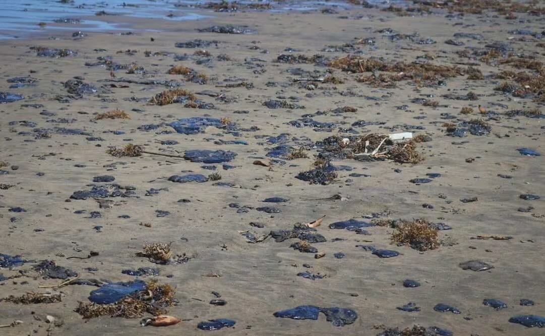 La organización Greenpeace señaló que el derrame de petróleo se extiende en Tamiahua, Tuxpan, y Cazones, afectado el Corredor Arrecifal del Suroeste del Golfo de México. Los daños suman un total de 630 kilómetros de línea de sota. Foto: Cortesía Greenpeace/ Cuartoscuro