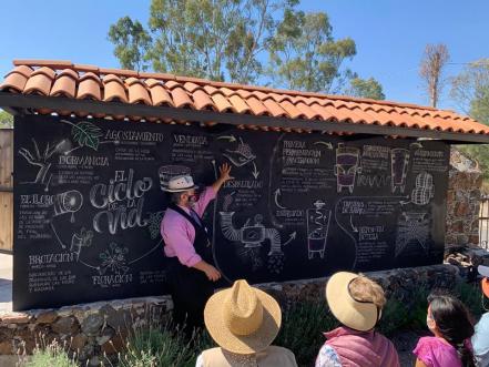 Vendimias de Querétaro. Calendario para disfrutar las fiestas de vino en 2022