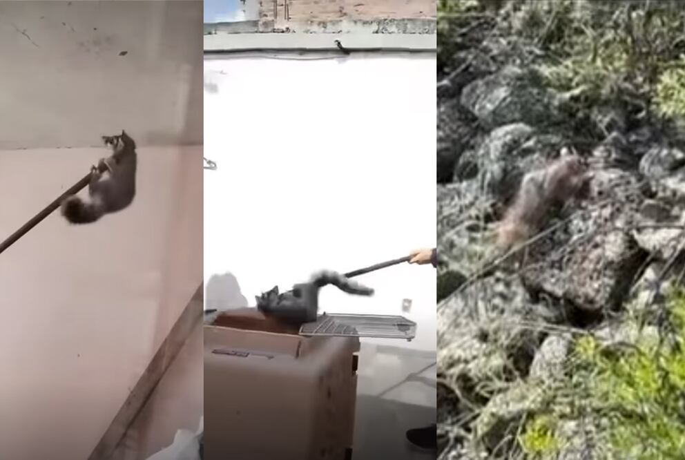 Foto: Captura de pantalla