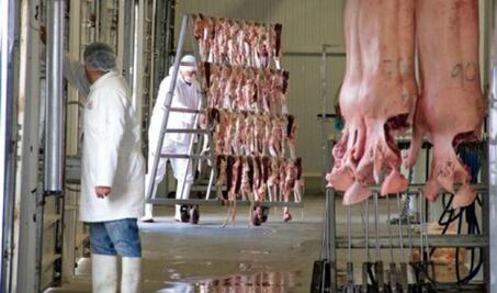 Crece producción de porcino en la capital