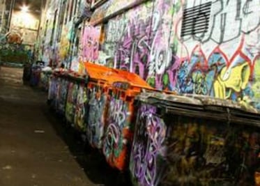 Soportan el grafiti en la ciudad