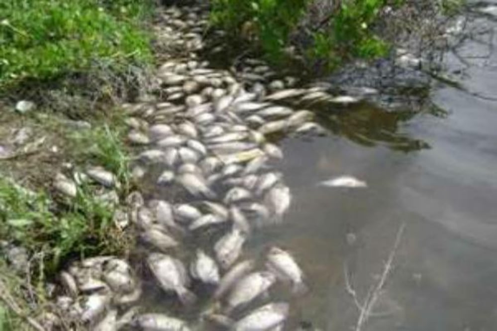 Autoridades recorren presa El Zorrillo