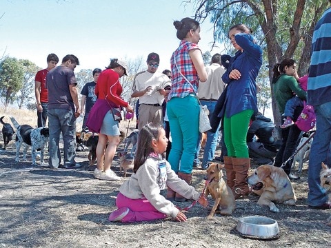 Realizarán evento con mascotas