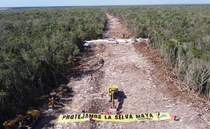 Desde la selva y con manta gigante, Greenpeace llama a suspender obras del Tren Maya