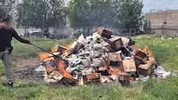 FGR destruye más de 186 kilos de narcóticos en El Marqués
