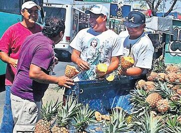 Compran piña para subsistir