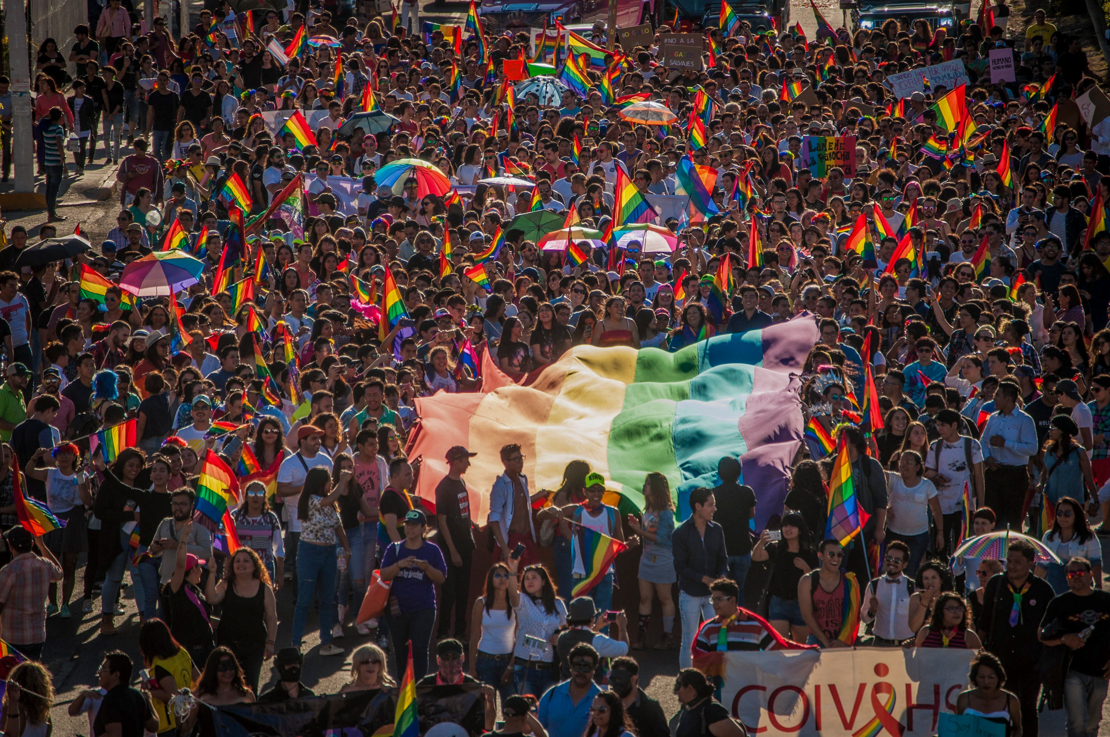Contingente del estado participa en marcha gay