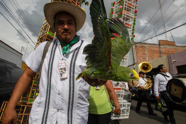 Ritual de Pajareros, inician la fiestas de la Santa Cruz