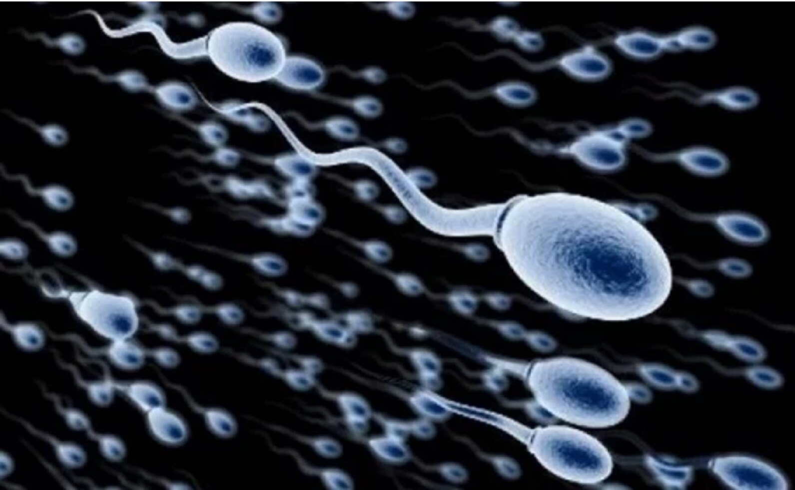 El semen de los hombres es peor ahora que hace 40 años