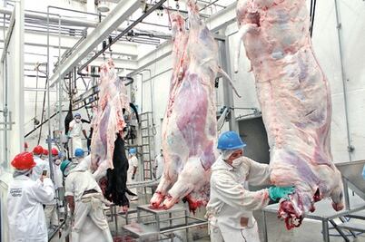 25% certifica para rastro de San Juan