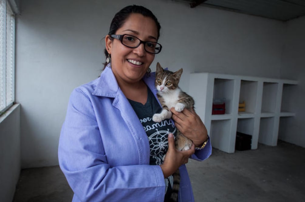 Berenice González cuida a 19 animales que se encuentran en la Gatera en busca de ser adoptados. (FOTOS: RICARDO LUGO. EL UNIVERSAL)