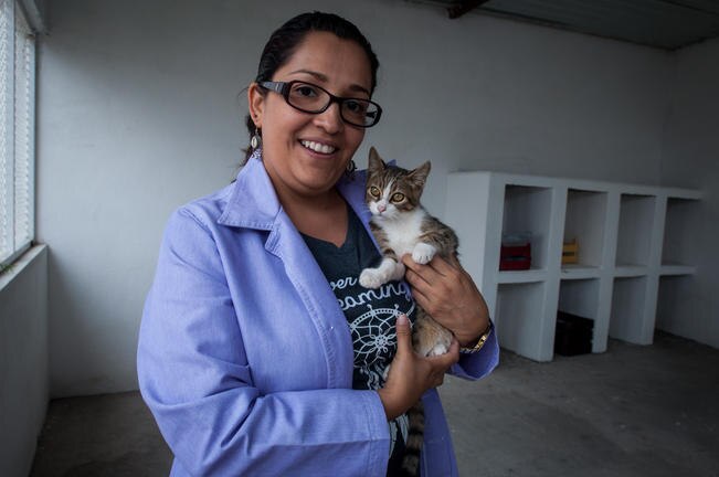 Berenice González cuida a 19 animales que se encuentran en la Gatera en busca de ser adoptados. (FOTOS: RICARDO LUGO. EL UNIVERSAL)