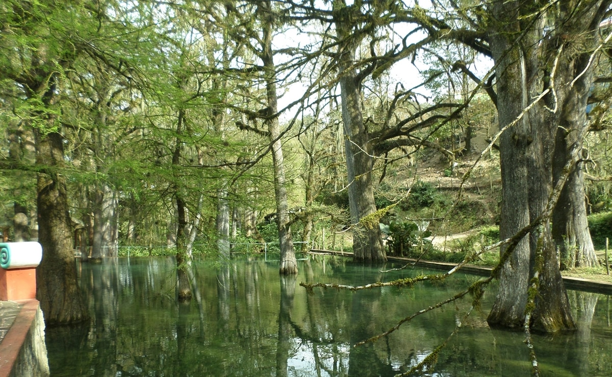 Río Verdito, el paraíso de la Sierra Gorda con pozas de agua cristalina