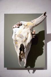 Lo inerte tiene vida colectivo DNA