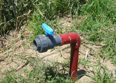 Galardonan a primaria de Nuevo San Isidro