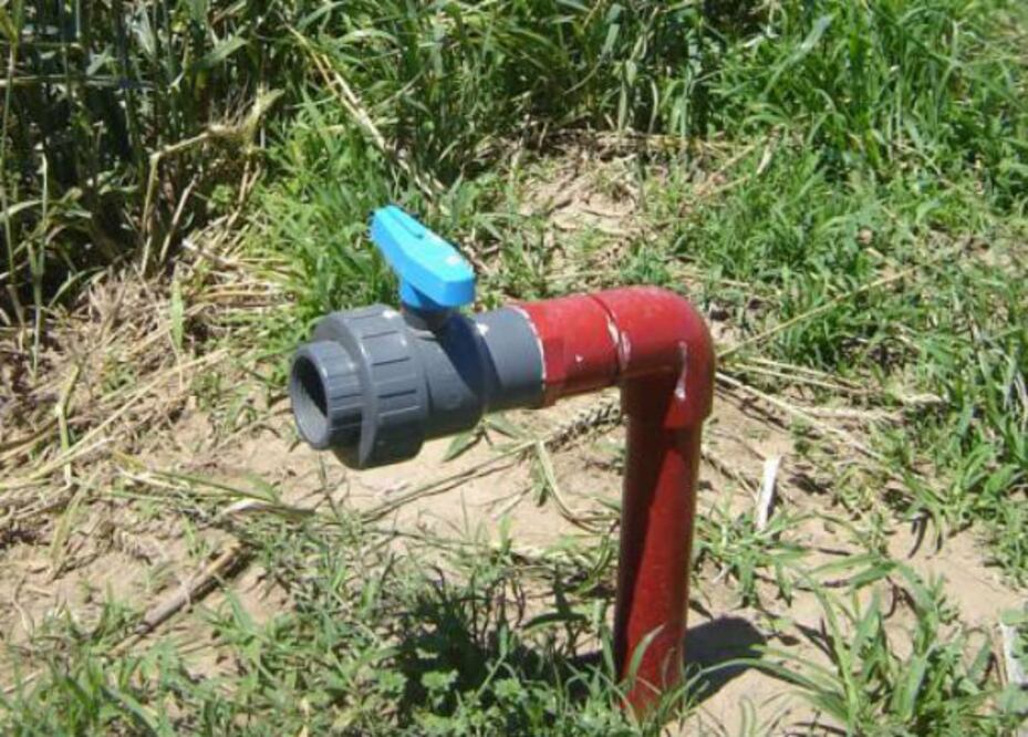 Galardonan a primaria de Nuevo San Isidro