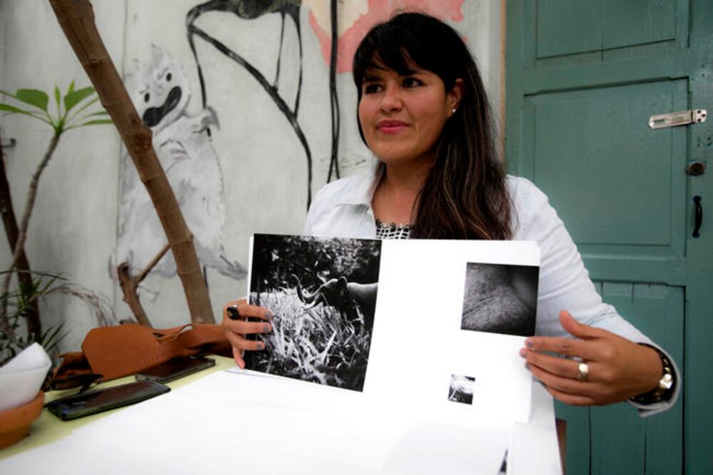 Guadalupe tomó las características del paquidermo y las trasladó a la figura paterna, para hablar de la fortaleza y la ternura que debe tener todo padre, así cualquier persona se puede identificar con las imágenes y el texto de "Elefante". (DEMIAN CHÁVEZ)