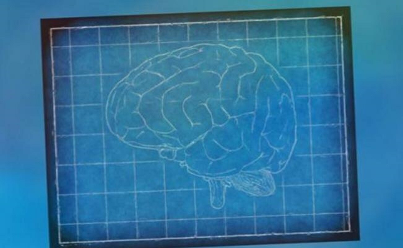 Estudio confirma que el cerebro del hombre envejece peor que el de la mujer