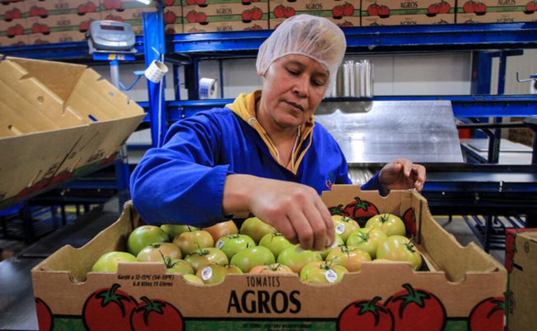 Se estima que en Querétaro, hasta el 31 de enero, se registraron 555 mil 867 trabajadores en el IMSS, con lo cual se habría crecido alrededor de 7.8% con respecto al mismo periodo del 2017 (ARCHIVO EL UNIVERSAL)