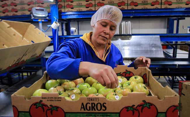 Se estima que en Querétaro, hasta el 31 de enero, se registraron 555 mil 867 trabajadores en el IMSS, con lo cual se habría crecido alrededor de 7.8% con respecto al mismo periodo del 2017 (ARCHIVO EL UNIVERSAL)