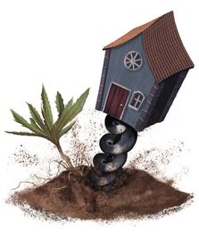 Cuidado de suelos, vital para la vida humana, explica UNAM Juriquilla