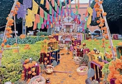 Querétaro se llena de color, flores y tradición por el Día de Muertos