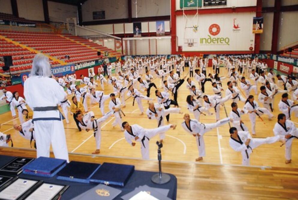 Taekwondoínes se actualizan 