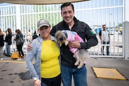El Marqués fortalece acciones de protección animal