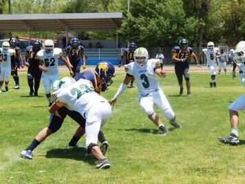 Gatos Salvajes hila seis triunfos