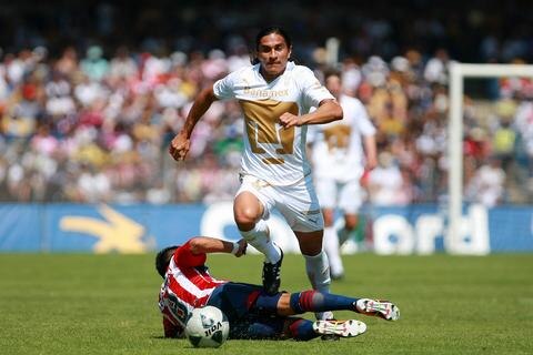 Habrá apertura musical